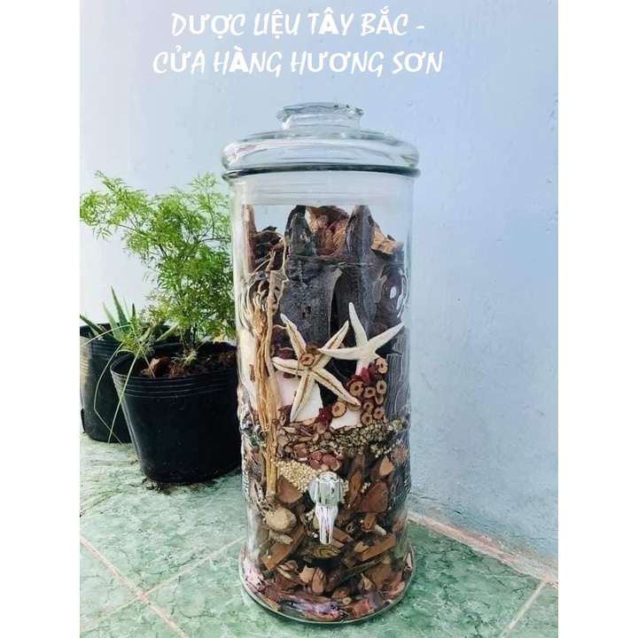 MINH MẠNG THANG - BỔ THẬN TRÁNG DƯƠNG