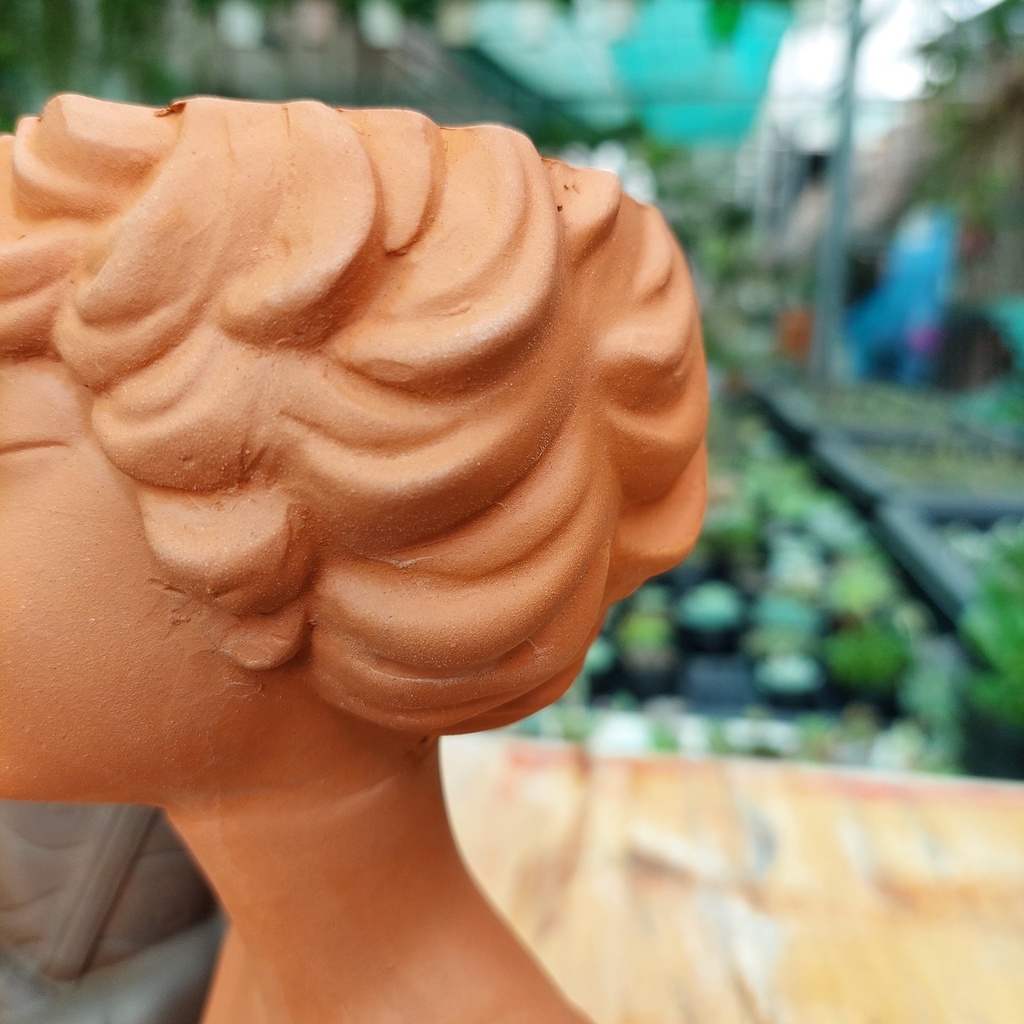 Chậu đất nung, Chậu sen đá - Tomboy, miệng chậu 7cm, chiều cao 20cm