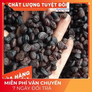 (Dược Liệu Quý) Hạt dổi nếp THƠM ĐẶC TRƯNG tây bắc, dùng thử (5 hạt)