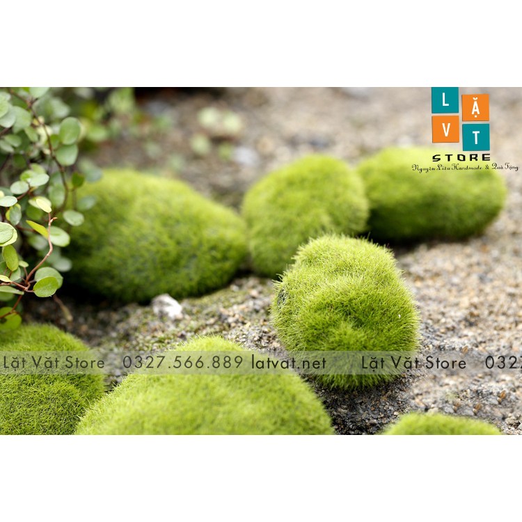 Mô Hình Đá Rêu Phong Micro Dùng Để Trang Trí Vi Tiểu Cảnh, Trang Trí Phong Cảnh - Đơn Giản Chân Thật Giá Rẻ Bất Ngờ