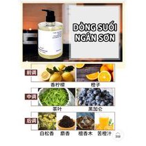 [SẴN] Combo verbena linn mùi nước hoa gồm dầu gội, dầu xả, sữa tắm | BigBuy360 - bigbuy360.vn