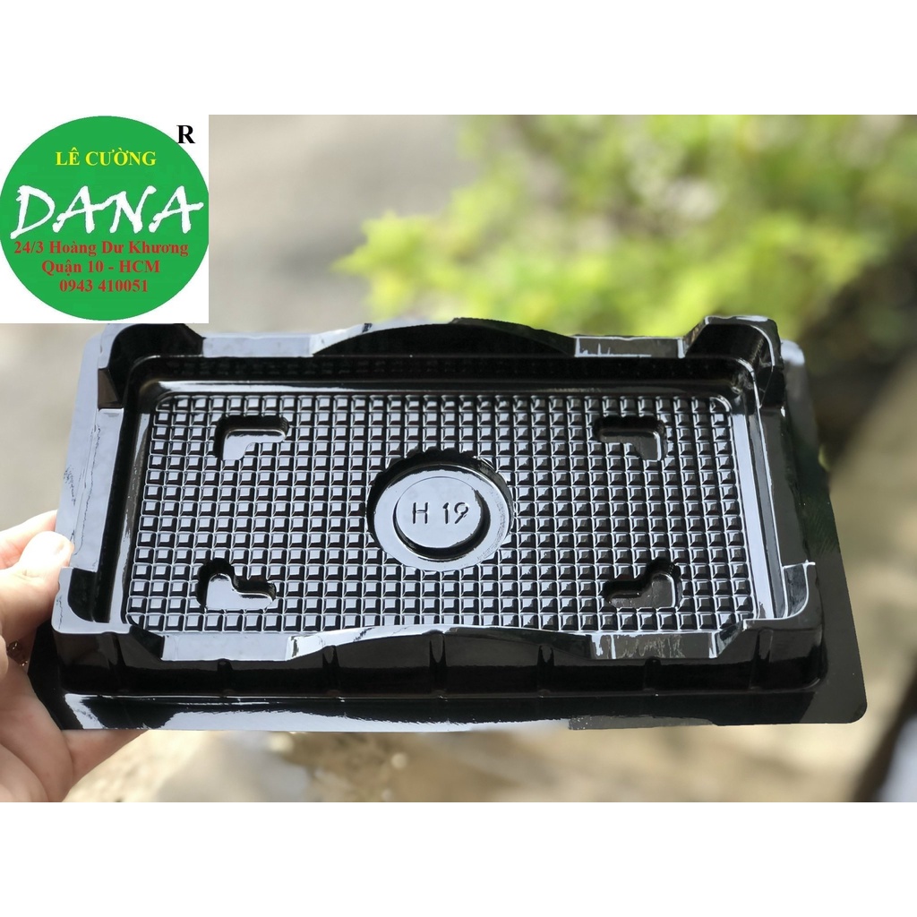 Hộp đựng bánh bông lan cuộn H19