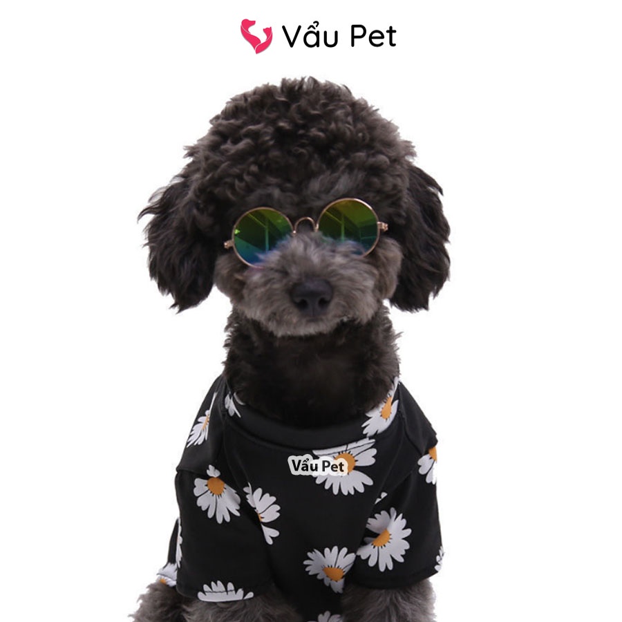 Kính Cho Chó Mèo Thời Trang - Đạo Cụ Chụp Hình Chó Mèo Thú Cưng Vẩu Pet Shop