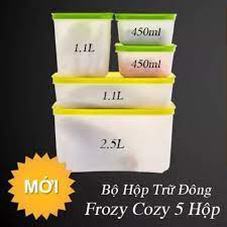 Tupperware - bộ hộp trữ đông frozy cozy 5