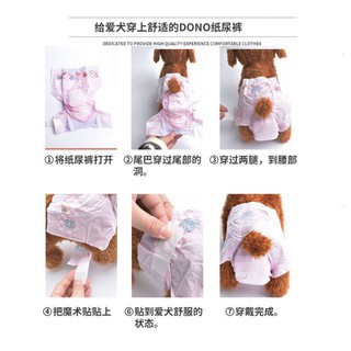 Tả bỉm cho chó cái