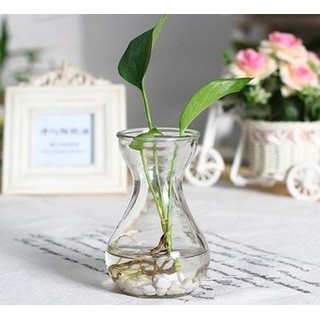 Combo 3 Bình Bông Lọ Hoa Thủy Tinh Eo Nhỏ (bình trơn)
