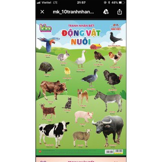 BỘ TRANH NHẬN BIẾT 12 CHỦ ĐỀ CHO BÉ  [  cơn bão giảm giá ]