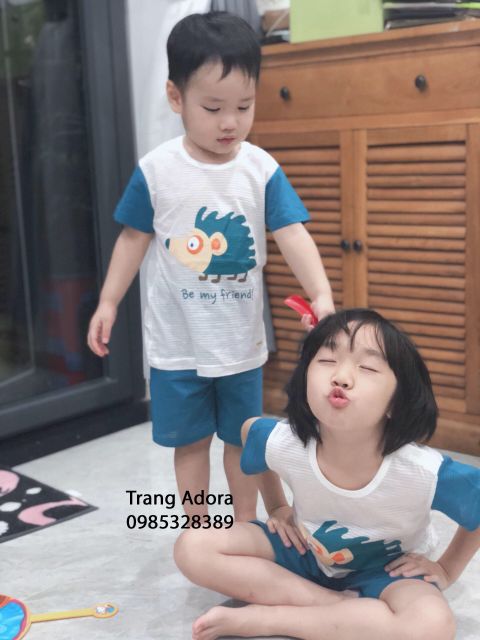 Bộ bé trai gái in hình nhím xuất hàn