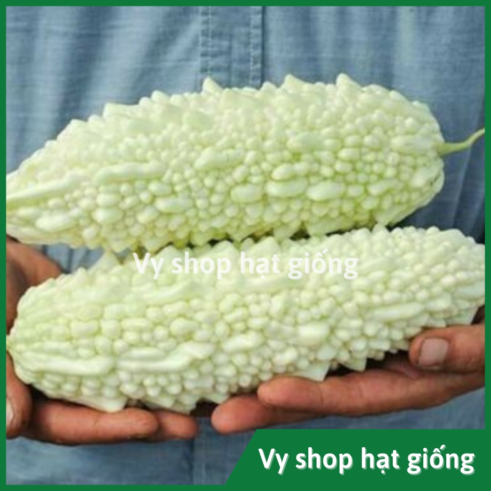 Hạt giống mướp đắng trắng  gói 10 hạt