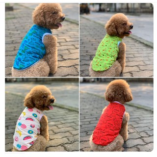 ÁO CHÓ MÈO THÚ CƯNG SALE CHẤT THUN CO GIÃN CỰC TỐT KHÔNG NHĂN XÙ ĐC CHỌN MẪU