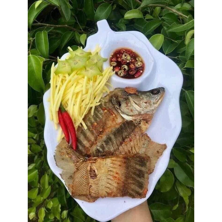 CÁ THÁC LÁC RÚT XƯƠNG NGUYÊN CON