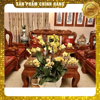 Bộ Đệm ghế gỗ bông ép cao cấp làm theo yêu cầu của khách hàng