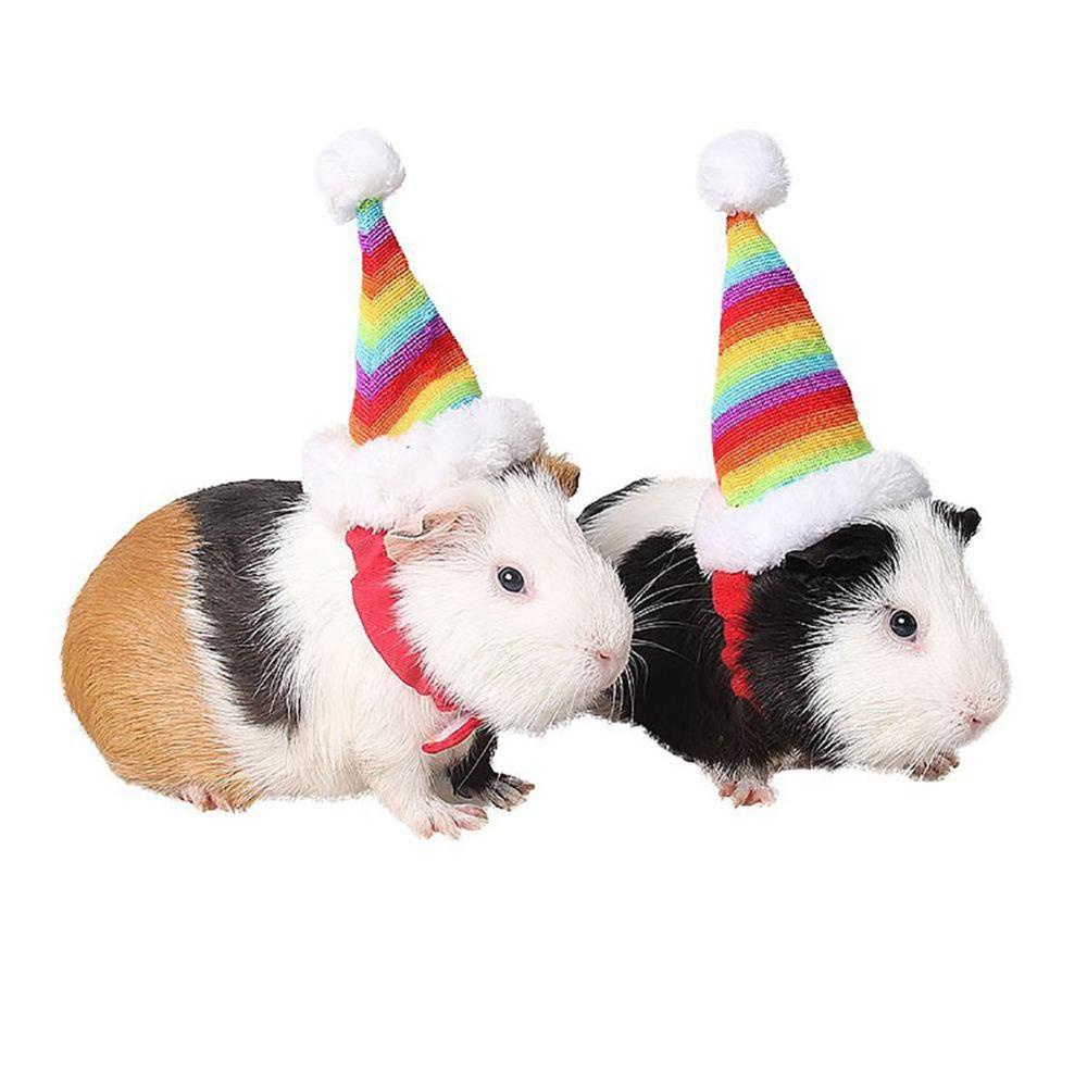 Nón Giáng Sinh Nhỏ Hình Thỏ Trang Trí Cho Thú Cưng