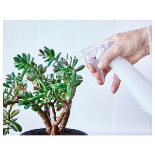 Bình xịt nước 350ml TOMAT - IKEA
