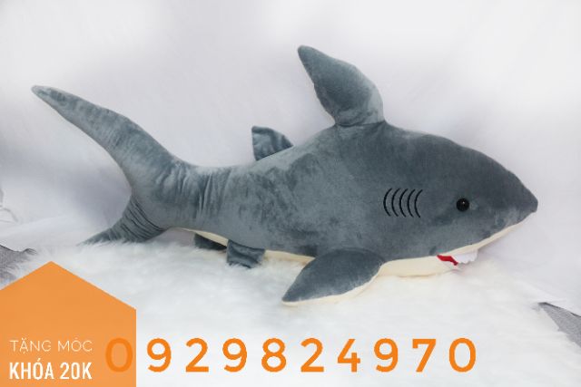 Cá mập 1m2 ( ảnh thật)