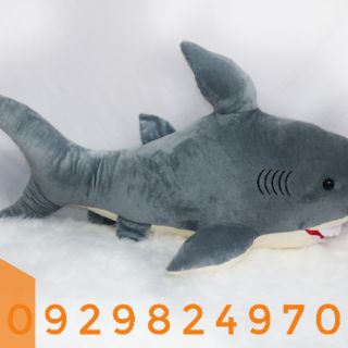 Cá mập 1m2 ( ảnh thật)