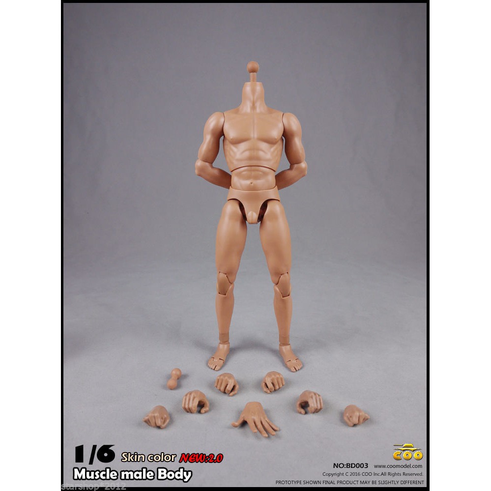 Mô hình cơ thể người nam 25cm Bd003 tỉ lệ 1/6 chất lượng