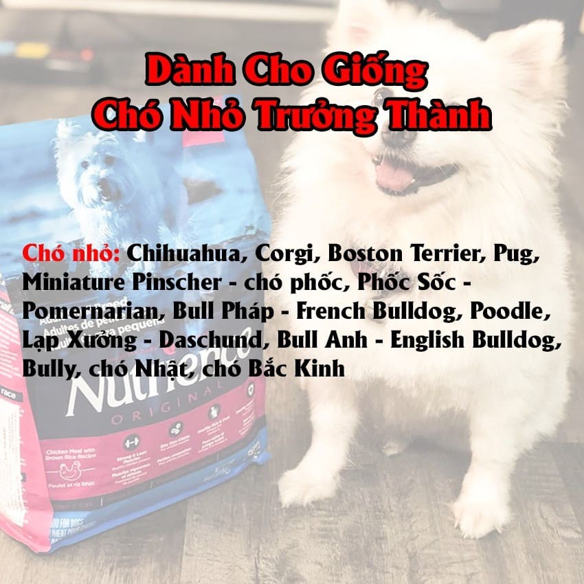 [DINH DƯỠNG CAO] Thức Ăn Cho Chó Nhỏ Nutrience Original Bao 500g - Thịt Gà, Rau Củ Quả Và Trái Cây Tự Nhiên