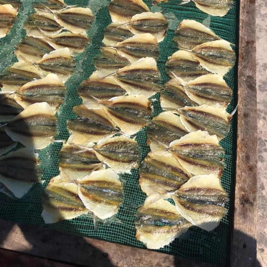 [Mã 267FMCGSALE giảm 8% đơn 500K] Cá chỉ vàng khô vân đồn, cô tô quảng ninh giao hàng ngay tận nơi tại hà nội. | BigBuy360 - bigbuy360.vn