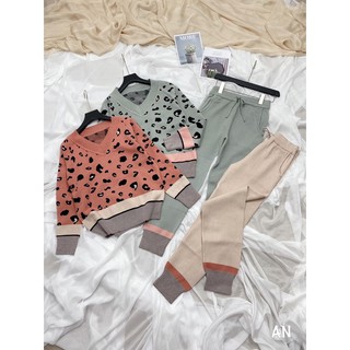 Set bộ len beo cổ v