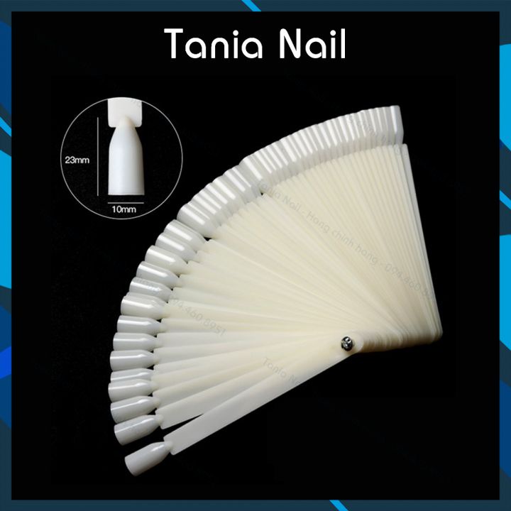 Móng que tập sơn Tập Vẽ Móng Tròn Vuông Nhọn  Trong Đục