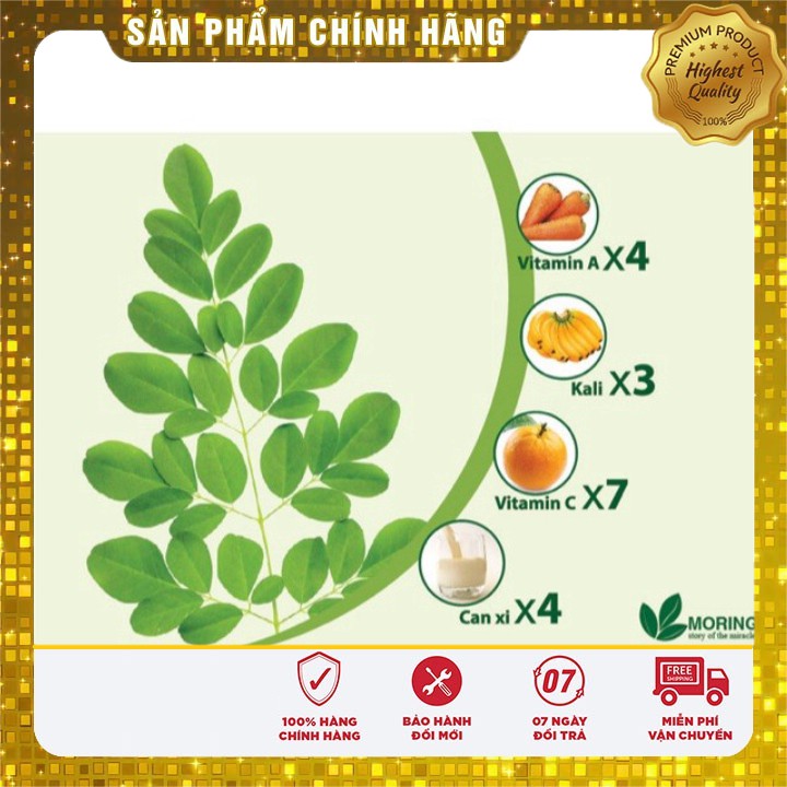 Hạt giống rau chùm ngây siêu dinh dưỡng - 10 hạt