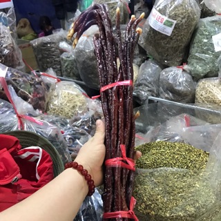 Nấm linh chi sừng hươu