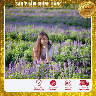 Hạt Giống Hoa Xác Pháo Xanh