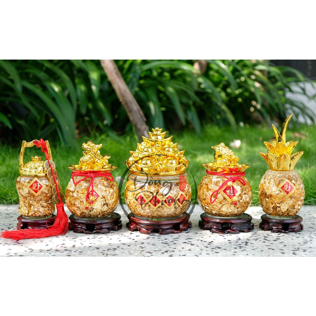 Chậu Vàng Lá Tài Lộc - Trái Thơm Vàng Nước - Chậu Tỳ Hưu - Chậu Cóc Thiềm Thừ Tài Lộc May Mắn - Chiêu Tài Tấn Lộc