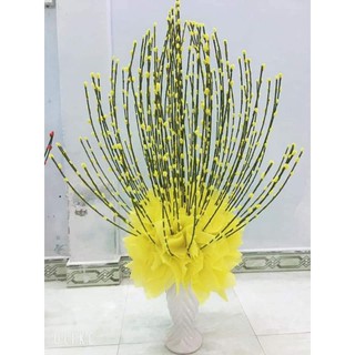 Bó 10 cành nụ tầm xuân chưng Tết