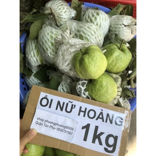 3-5kg Ổi nữ hoàng không hạt giòn ngọt