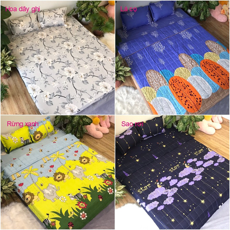 Bộ vỏ chăn ga gối poly cotton trong nước (tất cả các mẫu) - drap trải giường