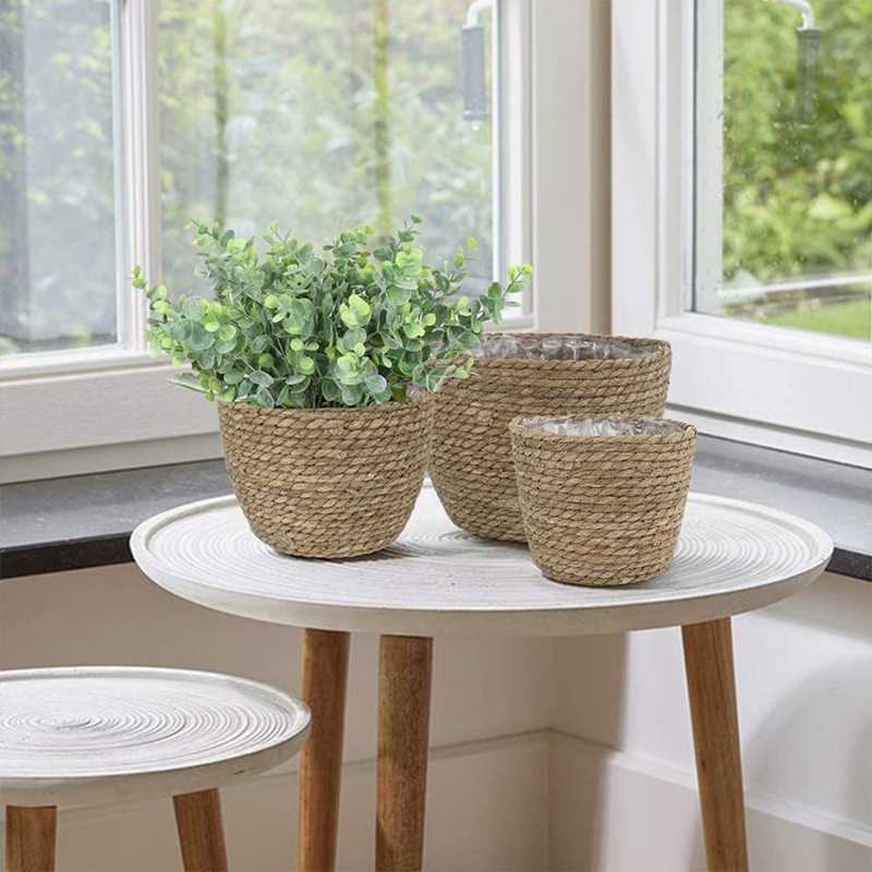 Cây Bạch Đàn Nhân Tạo 5 Nhánh Dùng Trang Trí Nhà Cửa/Văn Phòng/Tiệc Cưới DIY