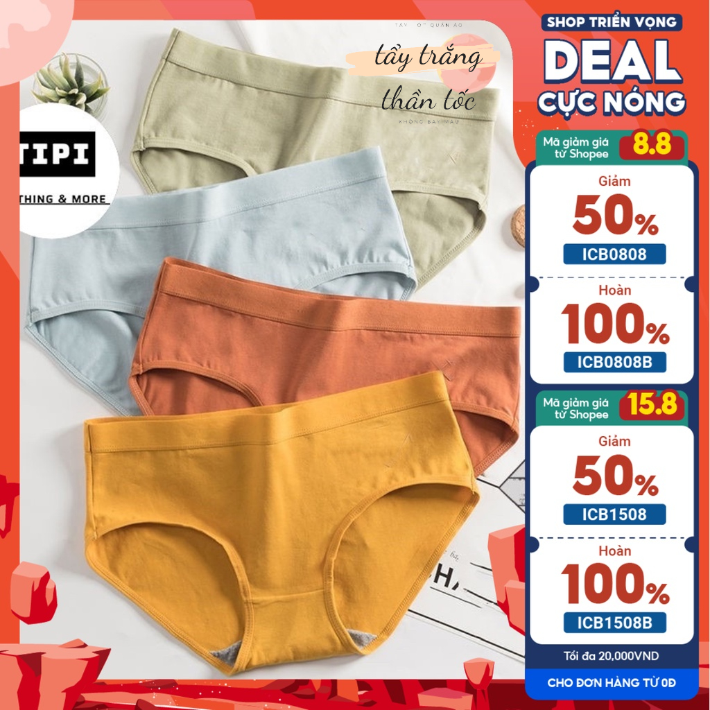 🔥 RẺ VÔ ĐỊCH 🔥 Quần Lót Nữ Cotton kháng khuẩn - Quần Chip Nữ nhiều màu mềm mại thoáng mát