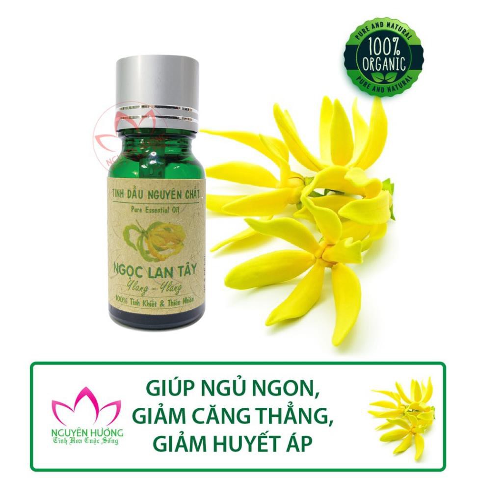 Tinh Dầu Thư Giãn, Giảm Stress Bằng Liệu Pháp Xông Thơm Phòng [Lọ 10ml]