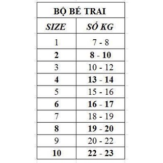 TPHCM - THANH LÝ Set đồ bé trai cao cấp VECO