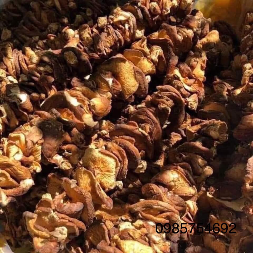 Nấm hương rừng Tây Bắc loại 1 xiên que phơi khô tự nhiên thơm ngon
