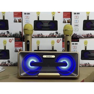 Loa karaoke bluetooth kiêm giá đỡ đt SD-301
