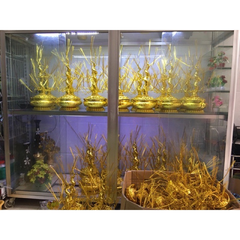 Gốc cây thỏi vàng cao 55cm