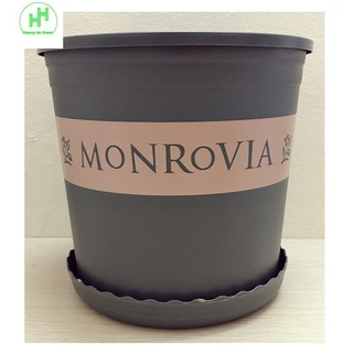 1 Bộ Chậu Nhựa Trồng Hoa Cây Cảnh (Chậu + Đĩa) MONROVIA CN 2Gal