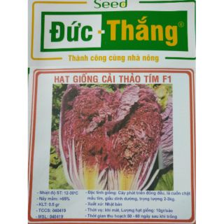 Hạt giống cải thảo tím - Rau củ quả trồng tại vườn, sân thượng, nông trang, ban công