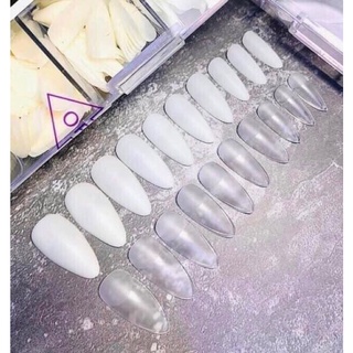 Móng úp hsm nhám - bầu nhọn