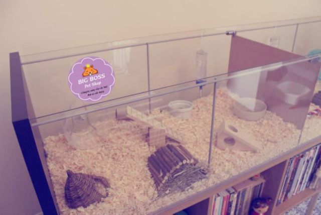 1kg mùn cưa lót chuồng cho Hamster-Rat-Đuôi Mập
