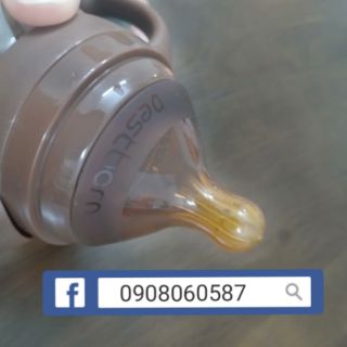 10 núm Bình gấu