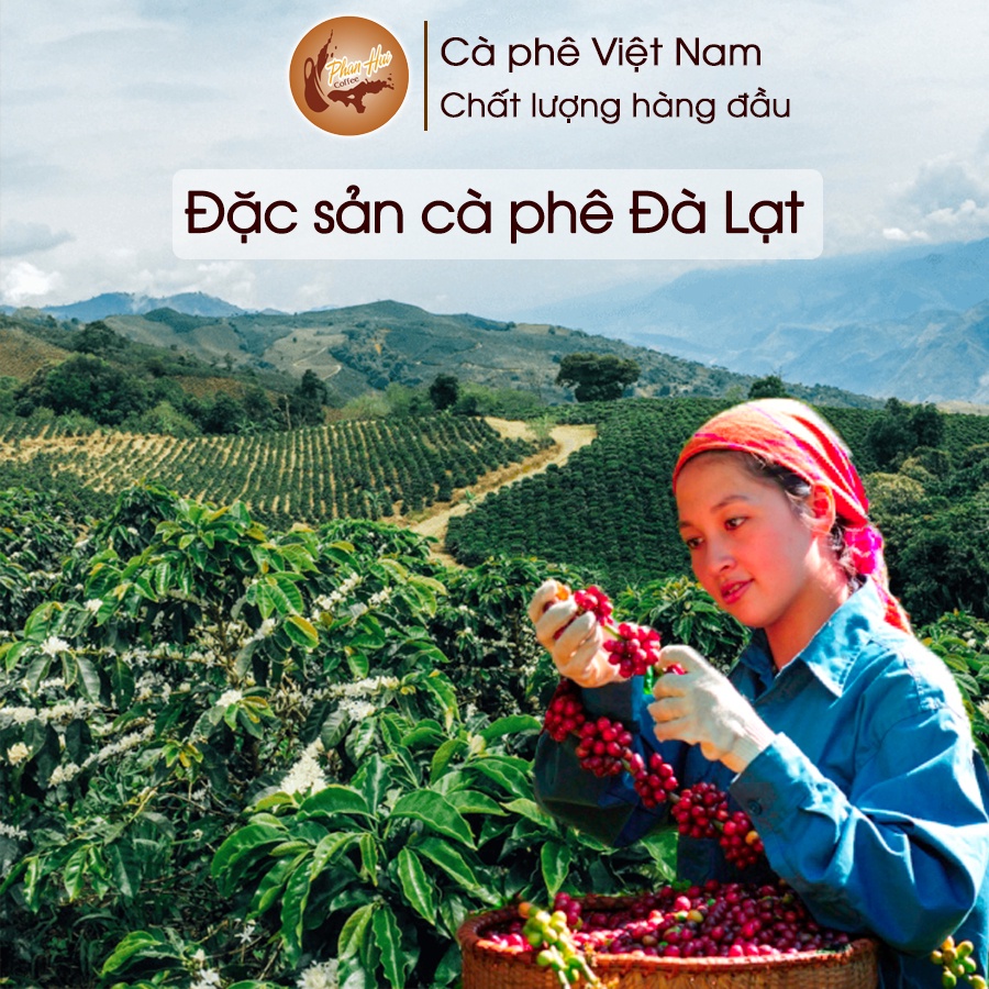[500g] Cà phê Phan Hui Premium Quality Arabica nguyên chất 100% phù hợp cho phan phin và pha máy - Phan Hui Coffee | BigBuy360 - bigbuy360.vn