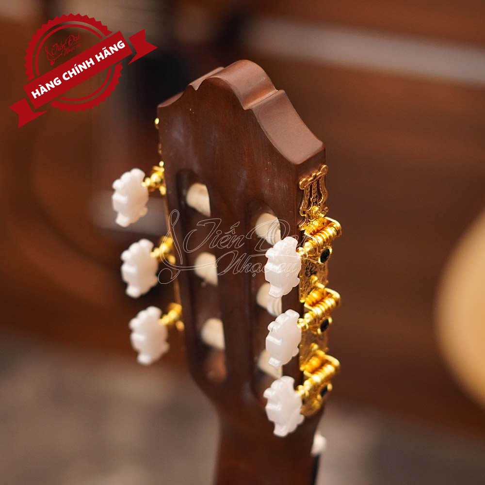 Đàn Guitar Classic Yamaha C70 Thuộc Dòng Cổ Điển, Kích Thước Lớn, Phù Hợp Cho Người Mới Bắt Đầu