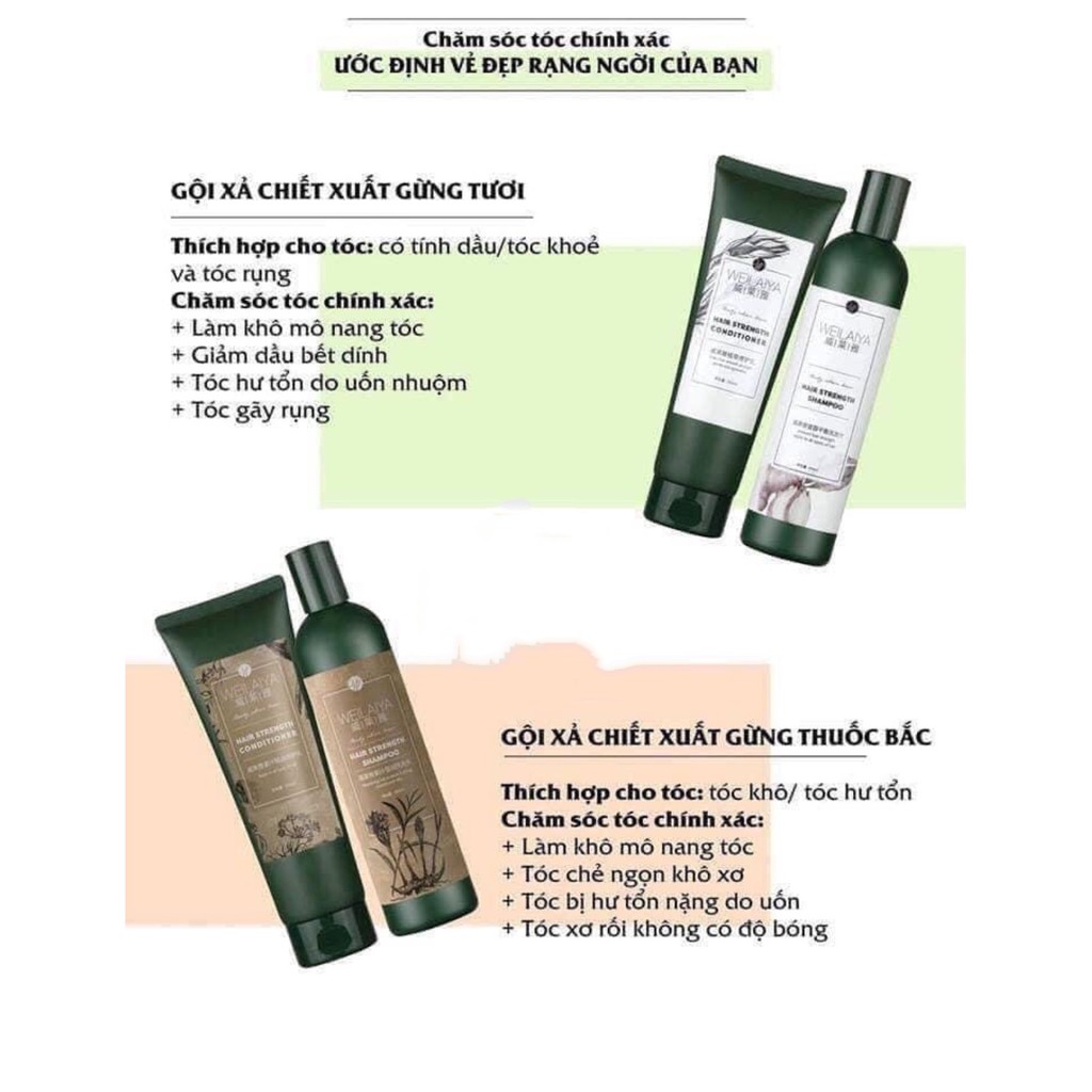 Bộ Dầu Gội Dầu Xả Gừng Và Hà Thủ Ô Giảm Tình Trạng Rụng Tóc, Kích Thích Mọc Tóc Hiệu Quả Và Làm Tóc Chắc Khỏe