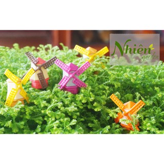 [Hình thật] CỐI XAY GIÓ - Phụ kiện Terrarium DL