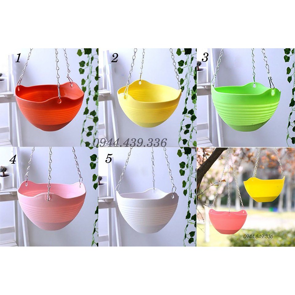 Combo chậu treo 6 màu 6 chậu