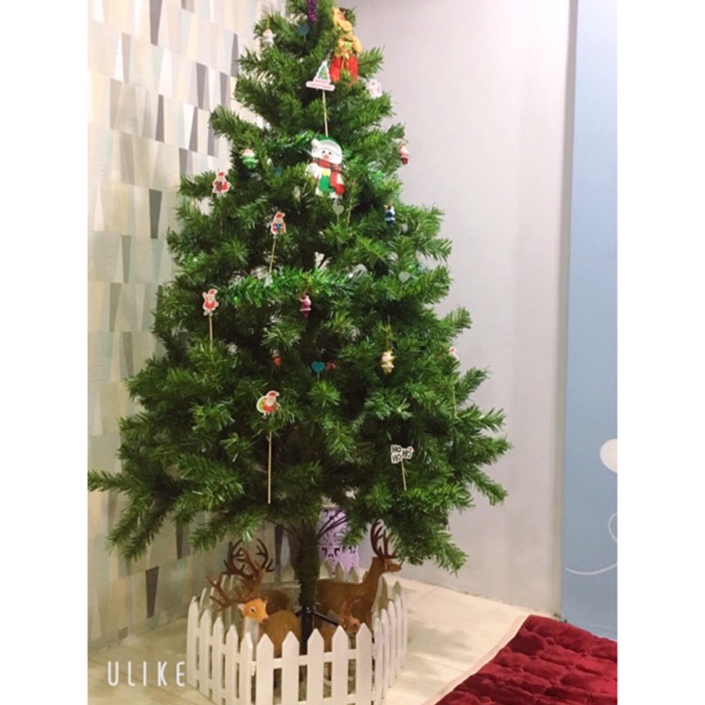 Cây Thông Noel Cao 2M Tặng Kèm 4 Dây Kim Tuyến Và 1 Ngôi Sao Kim Tuyến